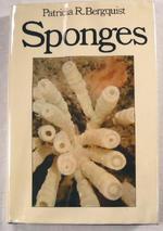 Cover of: Sponges by Patricia R. Bergquist