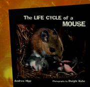 Cover of: The Life Cycle of a Mouse (Hipp, Andrew. Life Cycles Library.)