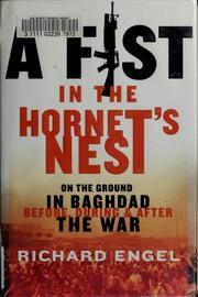 Cover of: A fist in the hornet's nest: on the ground in Baghdad before, during and after the war