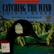 Cover of: Catching the Wind (A Just for a Day Book)