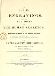 Cover of: A series of engravings, representing the bones of the human skeleton: with the skeletons of some of the lower animals