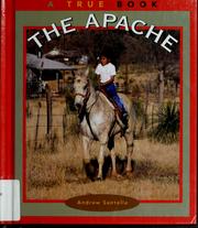 Cover of: The Apache by Andrew Santella, Andrew Santella