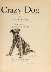 Cover of: Crazy dog