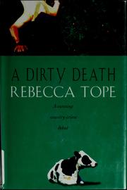 Cover of: A dirty death by Rebecca Tope