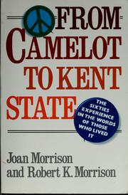 Cover of: From Camelot to Kent State: the sixties experience in the words of those who lived it