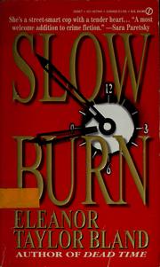 Cover of: Slow Burn (Marti MacAlister Mystery)