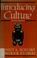 Cover of: Introducing culture