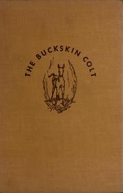 Cover of: The buckskin colt by David Grew, David Grew