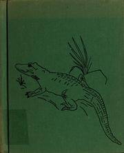 Biography of an alligator by Josephine J. Curto