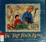 The trip back home by Janet S. Wong