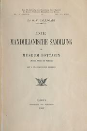 Cover of: Die Maximilianische Sammlung im Museum Bottacin (Museo civico di Padova)
