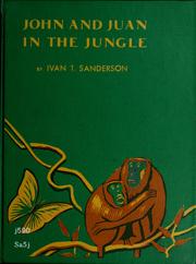Cover of: John and Juan in the jungle