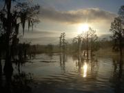 Cover of: Guidelines for establishing water quality standards for interstate waters