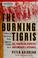 Cover of: The burning Tigris