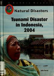 Cover of: Tsunami disaster in Indonesia, 2004 by John Albert Torres