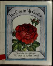 Cover of: The rose in my garden by Arnold Lobel