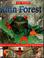 Cover of: Rain forest