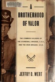 Cover of: A brotherhood of valor: the common soldiers of the Stonewall Brigade, C.S.A., and the Iron Brigade, U.S.A.