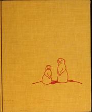 Cover of: Prairie dogs in prairie dog town.