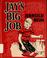 Cover of: Jay's big job.