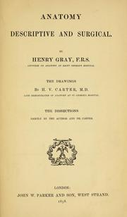 Cover of: Anatomy : descriptive and surgical by Henry Gray F.R.S.