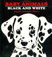 Cover of: Baby animals black and white by Phyllis Limbacher Tildes