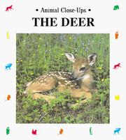 Cover of: The deer: forest friend