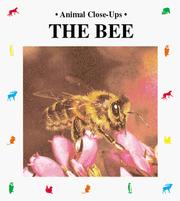 Cover of: The bee by Paul Starosta