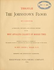 Cover of: Through the Johnstown flood by David J. Beale