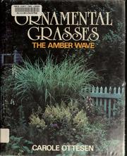 Ornamental grasses by Carole Ottesen
