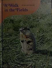 Cover of: A walk in the fields
