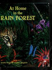 At home in the rain forest by Diane Willow