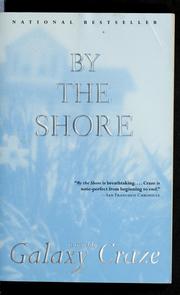 Cover of: By the shore: a novel