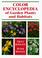 Cover of: Color encyclopedia of garden plants and habitats
