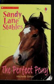 Cover of: The perfect pony by Michelle Bates, Michelle Bates