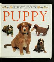 Cover of: Puppy: See How They Grow by Jane Burton