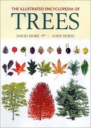 Cover of: The illustrated encyclopedia of trees