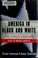 Cover of: America in black and white