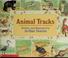 Cover of: Treehouse Tracks &amp; Scat Autumn booklist