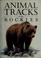 Cover of: Animal tracks of the Rockies