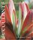 Cover of: Succulents for the contemporary garden