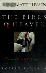 Cover of: The Birds of Heaven by Peter Matthiessen