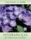 Cover of: Hydrangeas for American Gardens