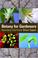 Cover of: Botany for Gardeners