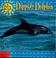 Cover of: Dippidy dolphin