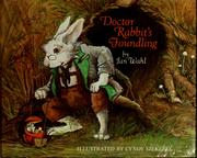 Doctor Rabbit's foundling by Jan Wahl