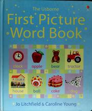 Cover of: First picture word book