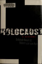 Holocaust by Deborah Dwork