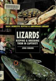 Lizards by John Coborn