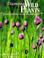 Cover of: Discovering Wild Plants